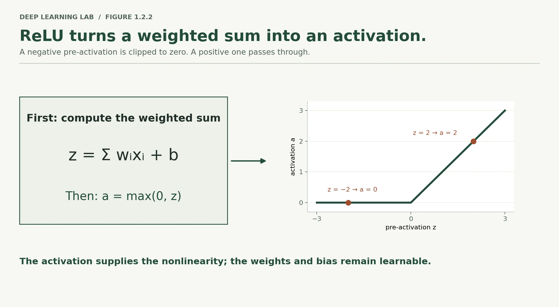 A weighted-sum equation feeds a ReLU graph. The graph is flat at zero for negative inputs and rises with slope one for positive inputs. Examples show z=-2 giving a=0 and z=2 giving a=2.