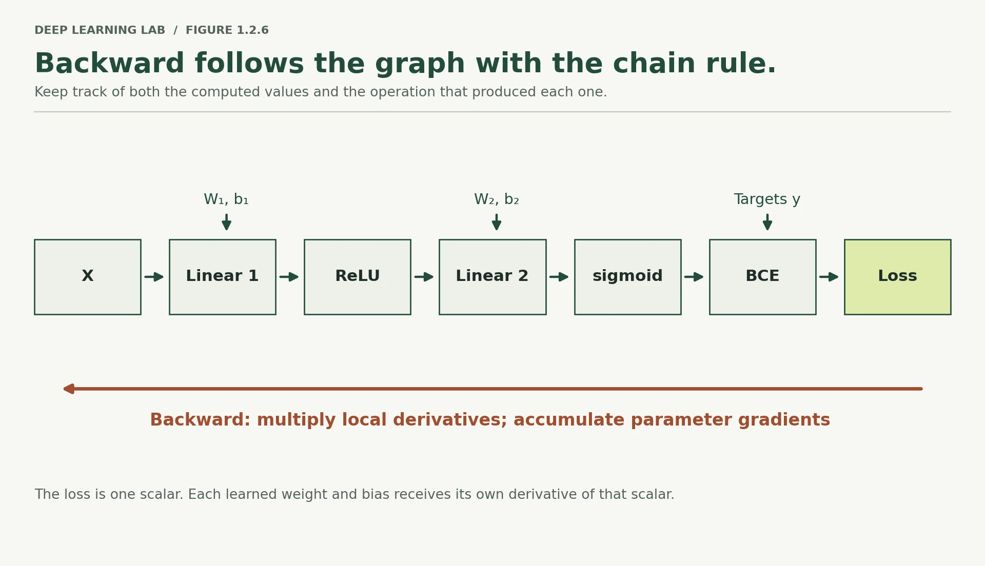 Inputs pass through two linear transformations separated by ReLU, then sigmoid, binary cross-entropy and scalar loss. Weights and biases enter the linear operations, targets enter the loss. A reverse arrow shows the chain rule walking from loss back toward inputs.