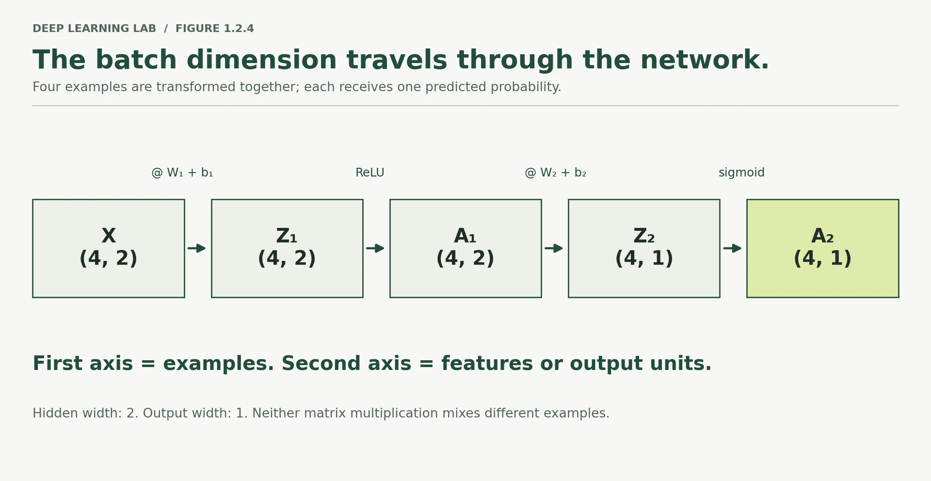 The forward sequence is X shape (4,2), Z1 (4,2), A1 (4,2), Z2 (4,1), A2 (4,1). Weighted sums and activations change features, while four batch rows remain four.