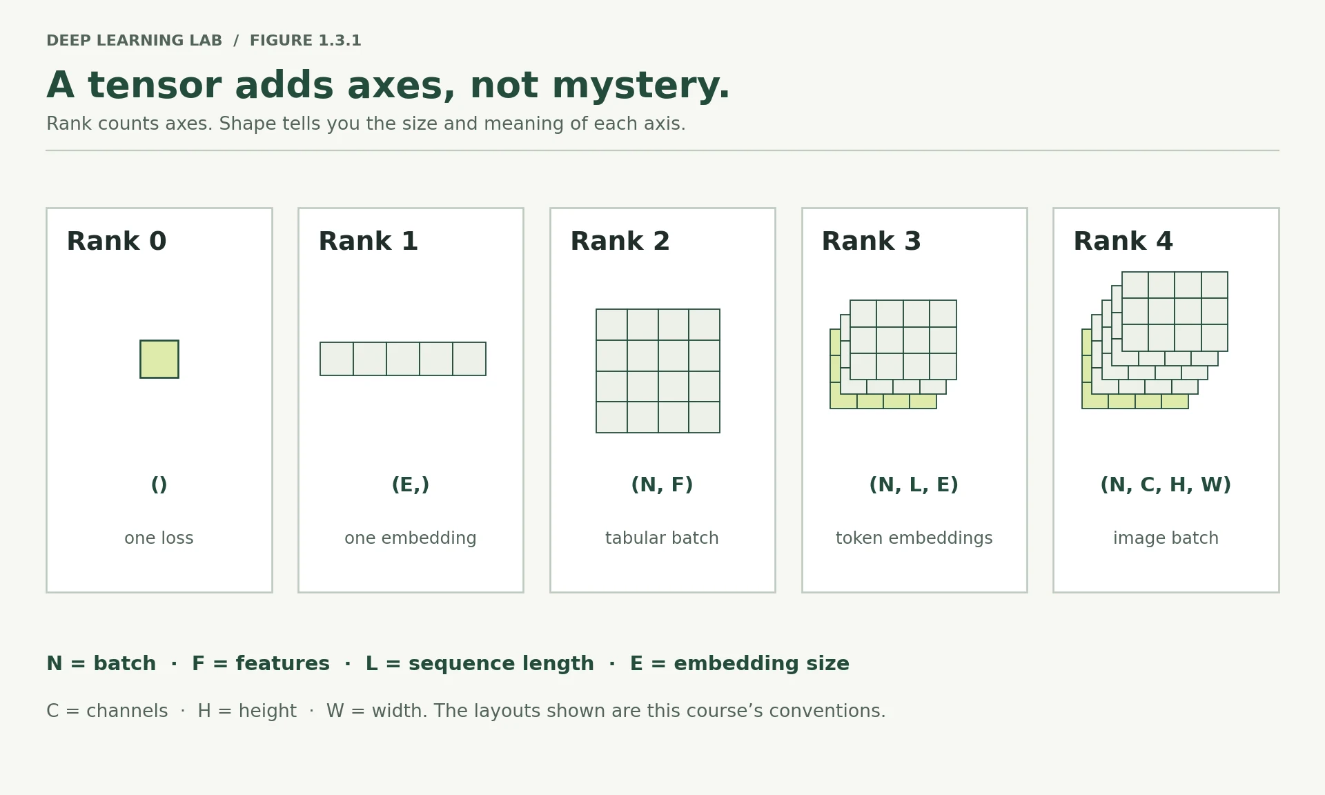 Ranks zero through four are drawn as a scalar, row, matrix, stacked matrices and image batches. Shapes are (), (E,), (N,F), (N,L,E), and (N,C,H,W), with each symbol defined.