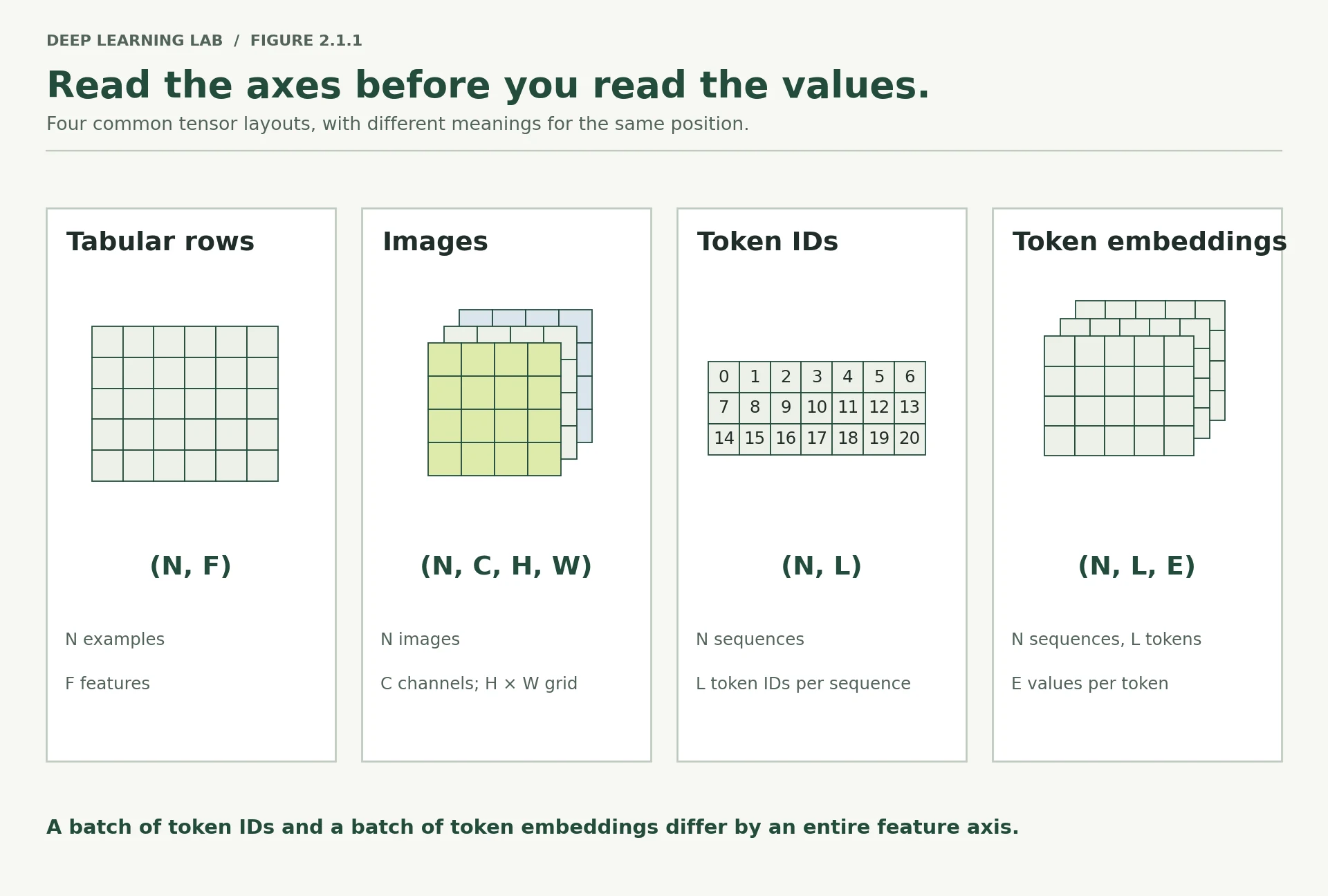 Four panels label tabular (N,F), images (N,C,H,W), token IDs (N,L), and token embeddings (N,L,E), explaining what each axis holds.