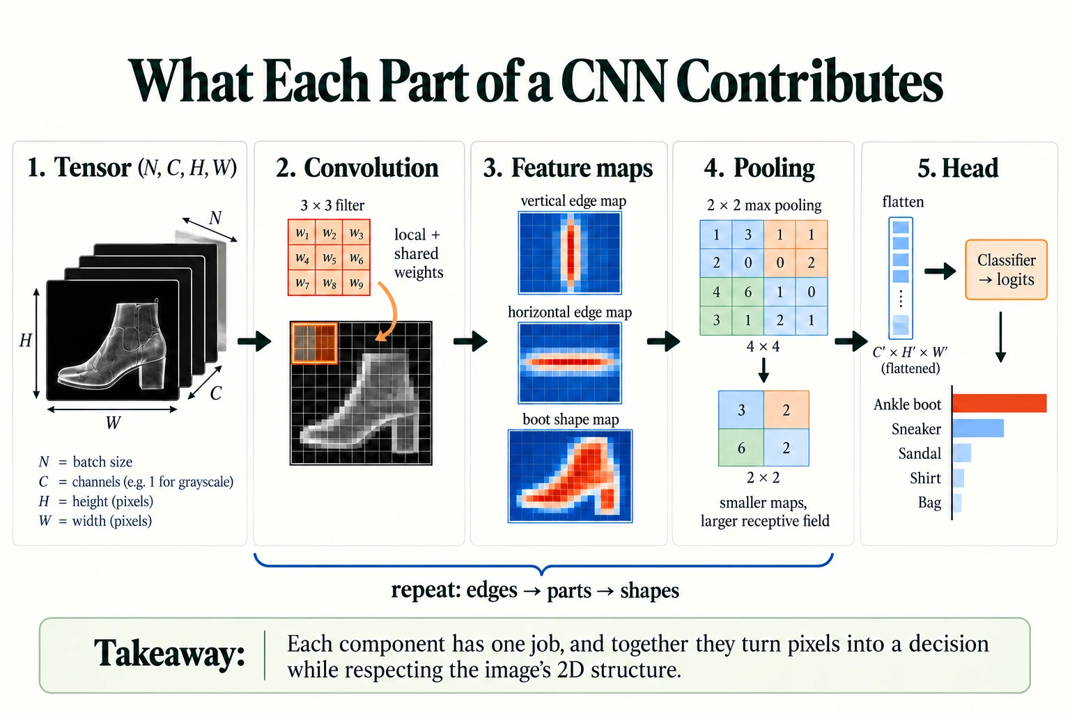 What Each Part of a CNN Contributes. Convolution applies local shared weights; feature maps retain spatial organisation, pooling reduces resolution, and the head combines features into class scores.