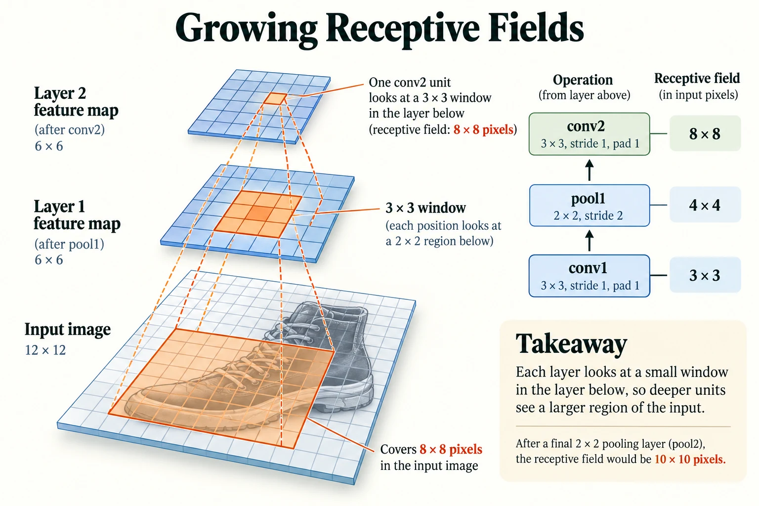 Growing Receptive Fields. For this model, receptive-field widths grow from 3 after conv1 to 4 after pool1, 8 after conv2, and 10 after pool2.
