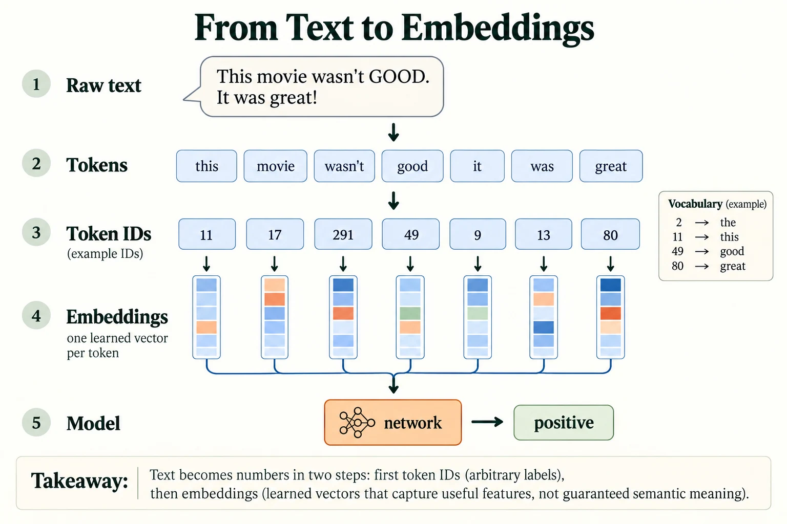 From Text to Embeddings. Token IDs are arbitrary vocabulary indices.