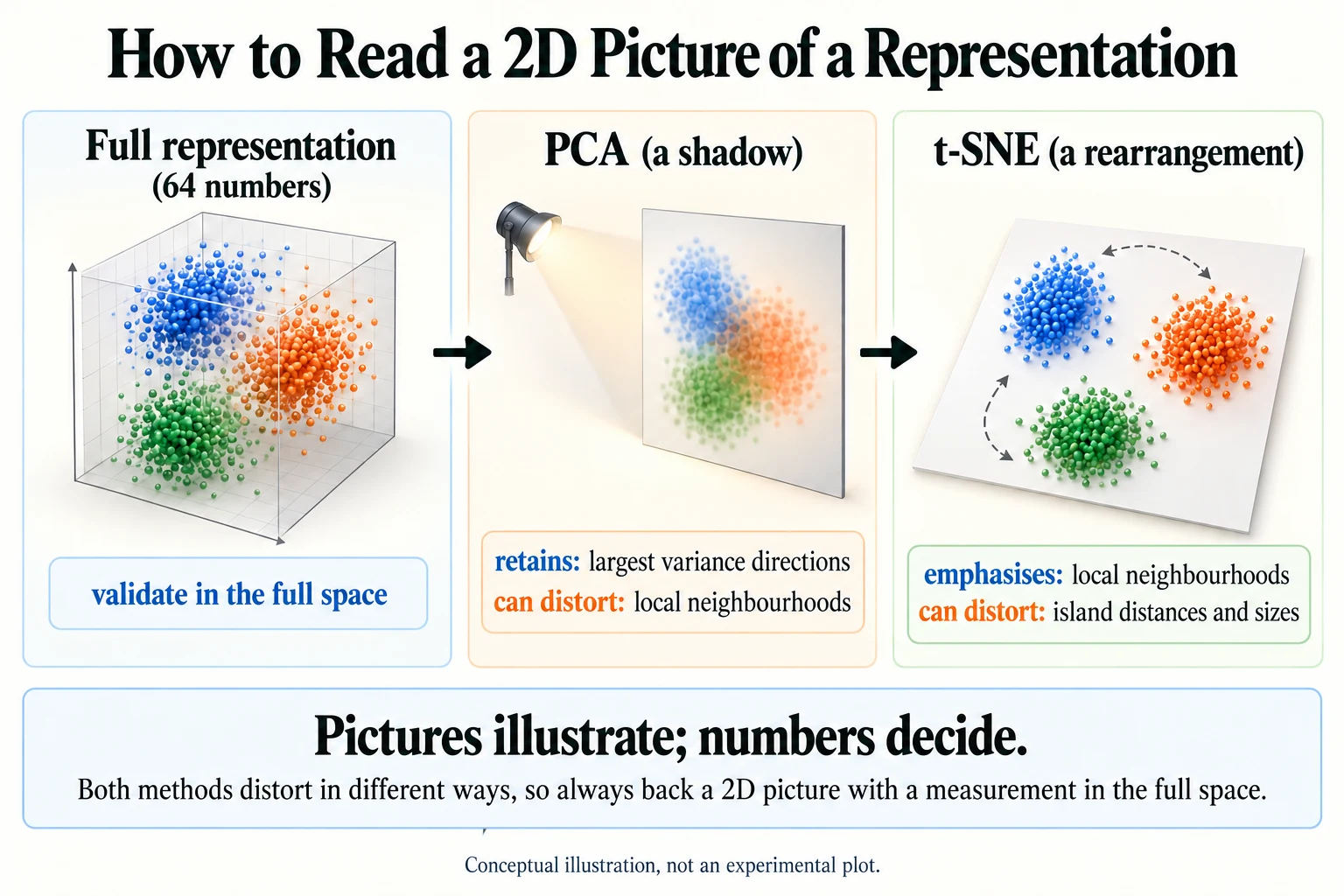How to Read a 2D Picture of a Representation. Conceptual projection analogy.