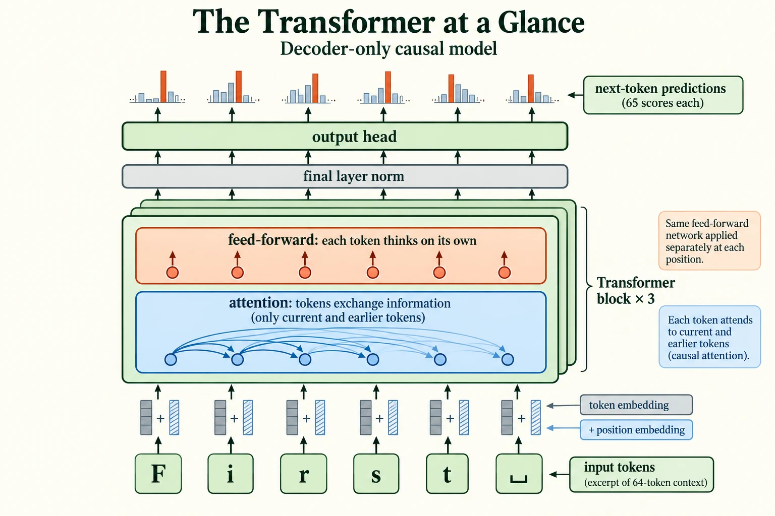 The Transformer at a Glance. The lesson’s causal decoder-only Transformer adds token and position embeddings, applies three blocks, then normalises and predicts 65 next-character logits per position.