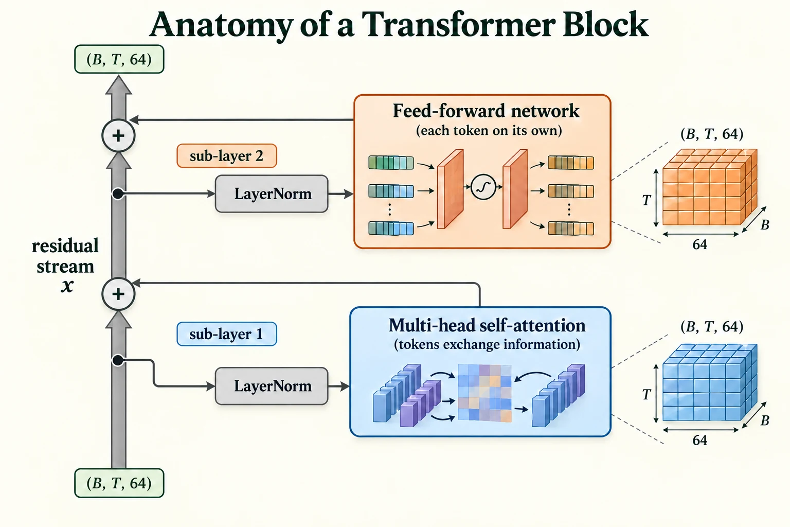 Anatomy of a Transformer Block. The pre-norm block adds attention and feed-forward updates to the residual stream, with LayerNorm on each branch.