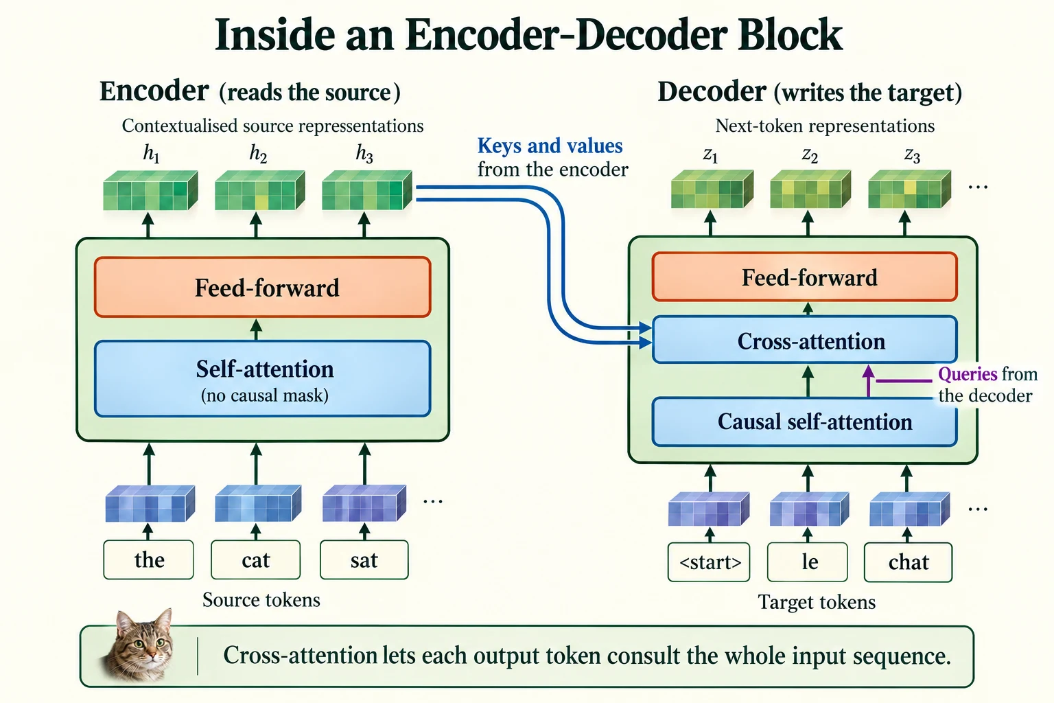 Inside an Encoder–Decoder Block. Decoder queries attend to keys and values from encoded source tokens.