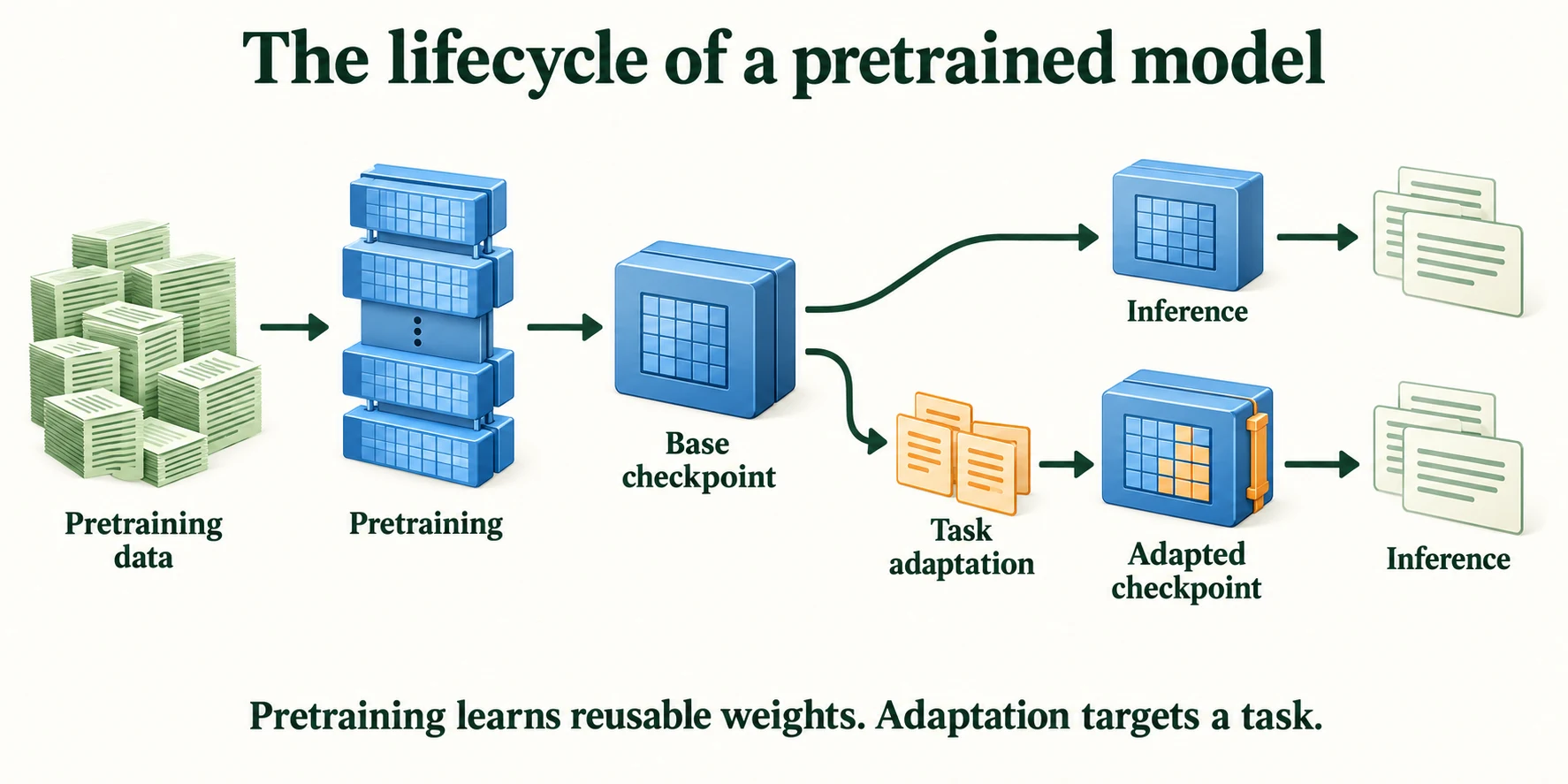 The Lifecycle of a Pretrained Model. Pretraining produces reusable weights. Inference can use a checkpoint directly; optional adaptation changes selected weights for a downstream objective.