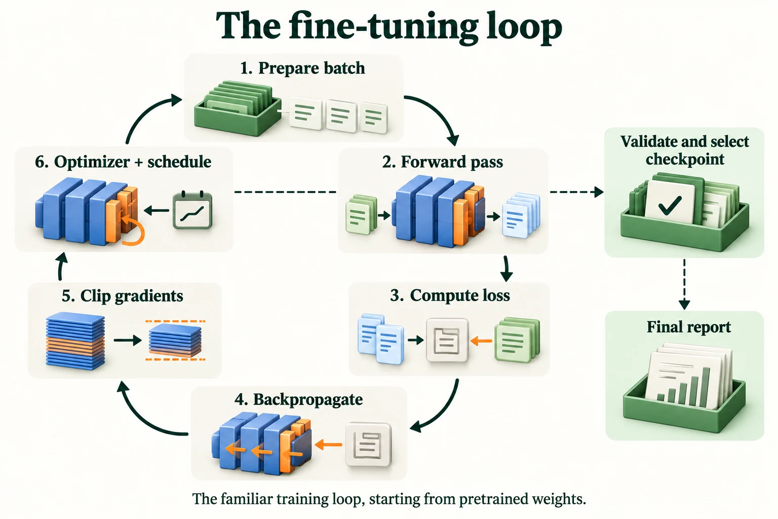 The Fine-Tuning Loop. Only training batches drive gradients and optimizer updates. Validation selects checkpoints; a declared final test reports the selected setup.